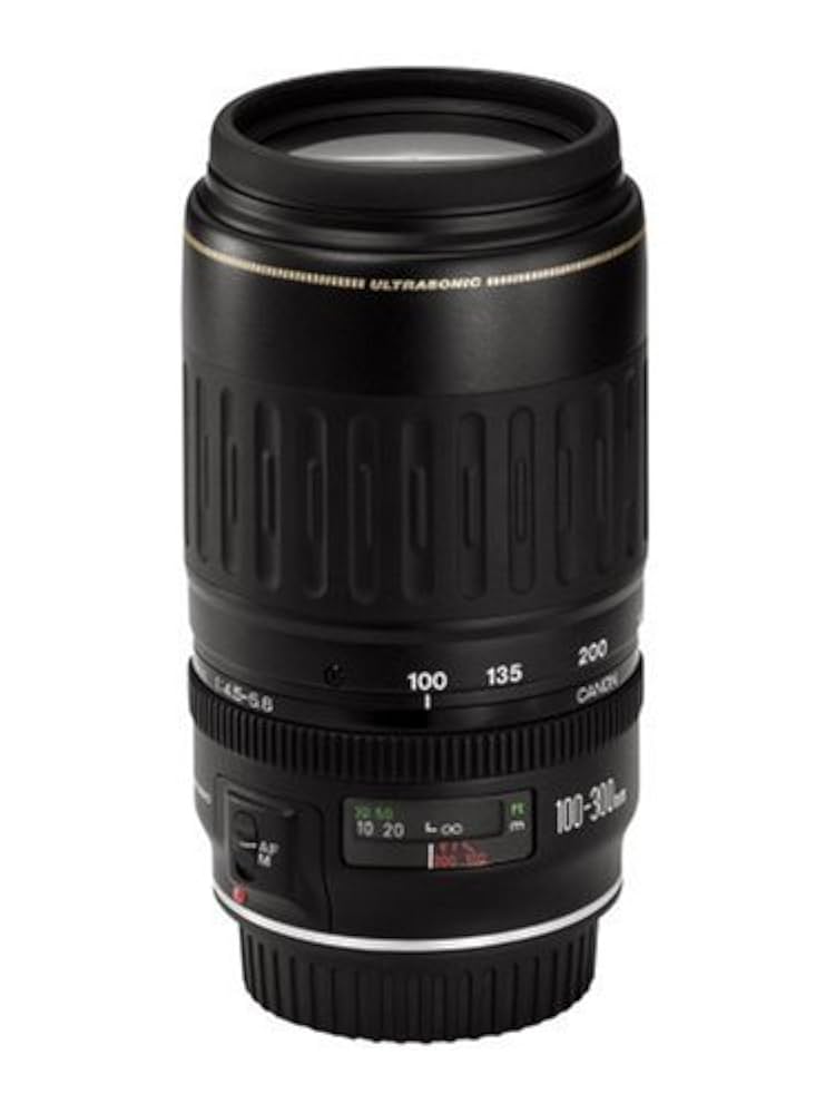 416z+wTDJbL._UF894,1000_QL80_.jpg